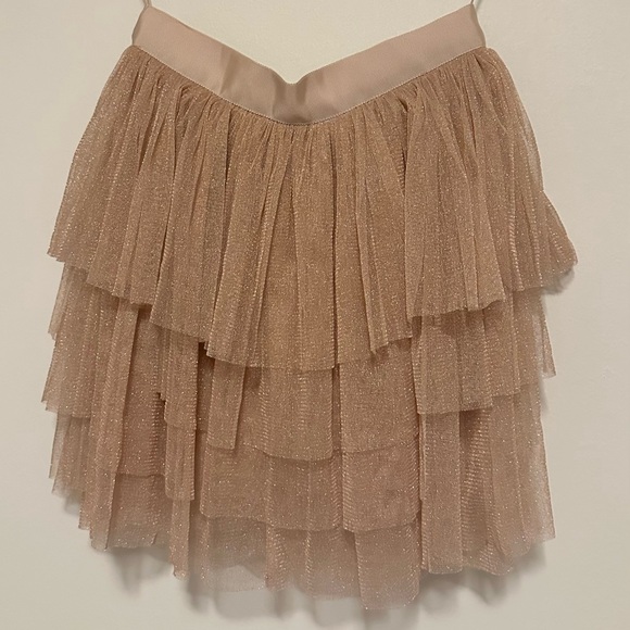 Pink and Gold Tulle Shimmer Skirt - Picture 1 of 9